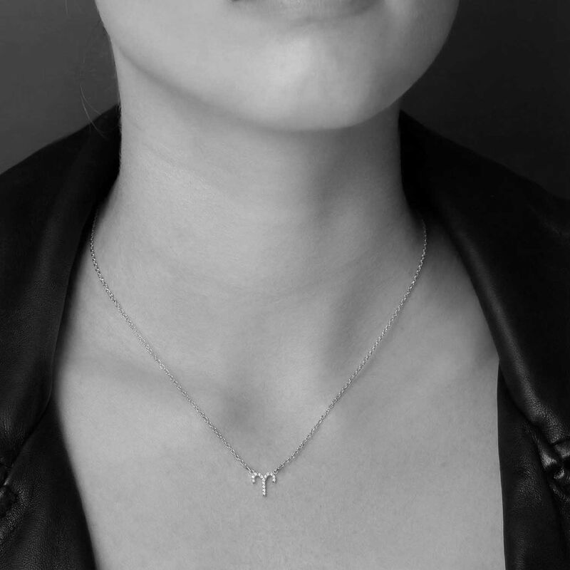 Silk & Steel Aries Necklace image number 1